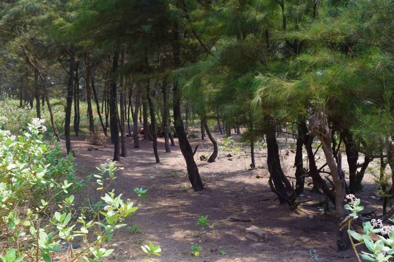 Rama Niwas Beach Home Stay Pawas Dış mekan fotoğraf