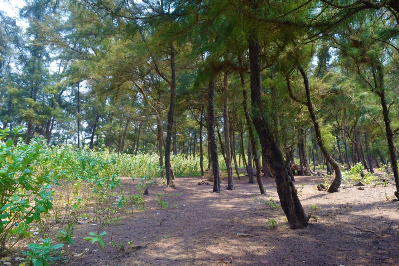 Rama Niwas Beach Home Stay Pawas Dış mekan fotoğraf